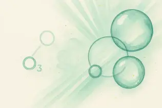 Cámara de ozono en Vitacura: exposición controlada a vapor y ozono para relajación, circulación y sensación de liviandad